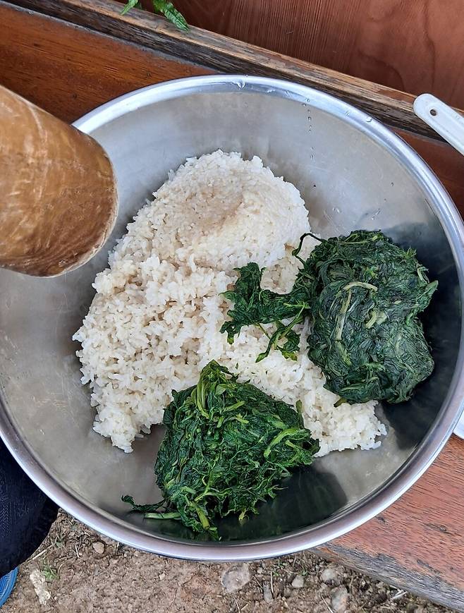 쑥인절미를 만들기 위해 찹쌀밥과 찐쑥을 준비했다.