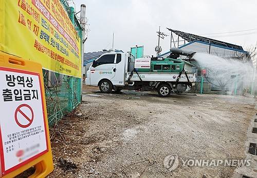 경북 성주 오리농장서 고병원성 조류인플루엔자 확진 [연합뉴스 자료사진]