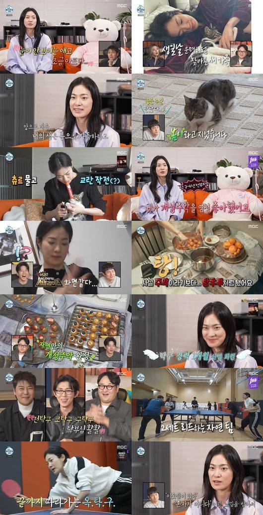 연예계 이슈 - 도박나라