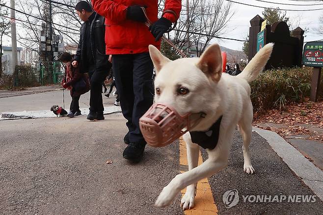 [연합뉴스 자료사진]