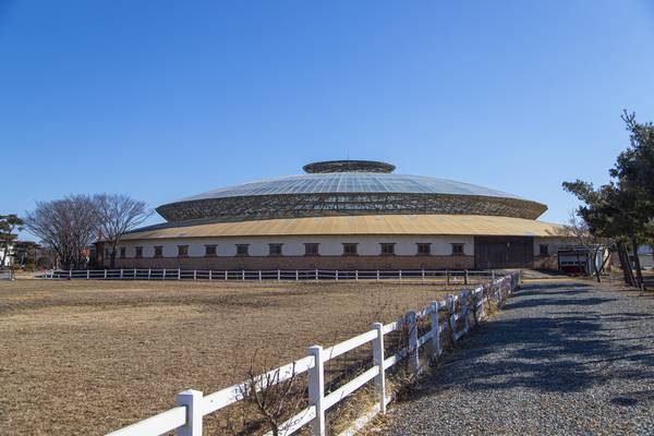 안산 베르아델 승마클럽 /경기관광공사 제공