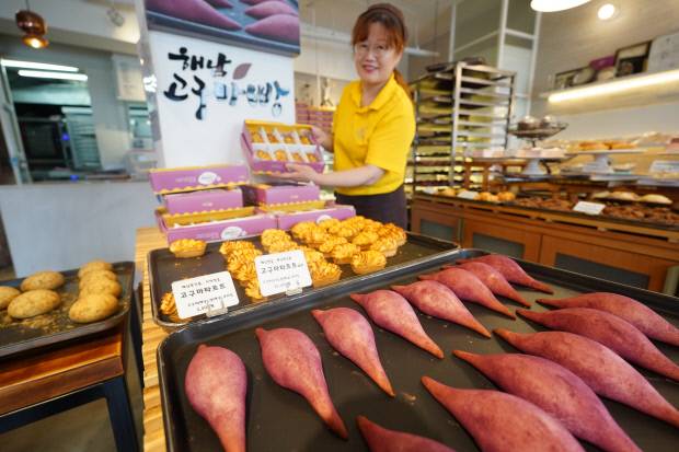 해남 명물 고구마빵. 〈해남군 제공〉