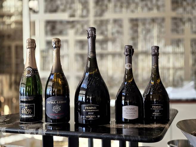 샴페인 듀발 르로이. 최현태 기자