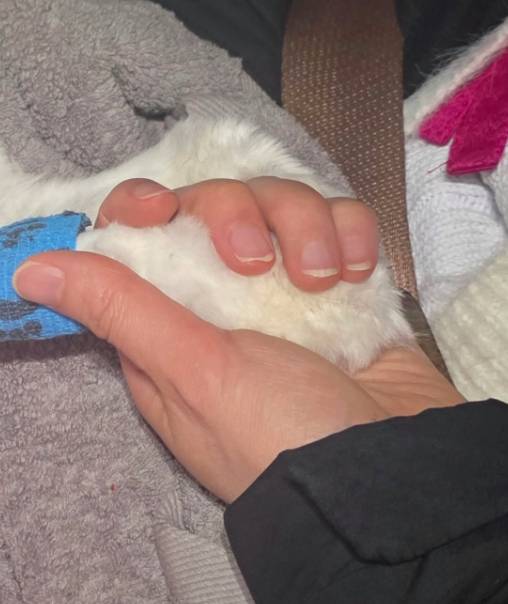 /사진=김규리 개인계정