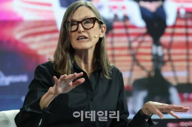캐시 우드 아크 인베스트 CEO