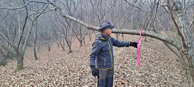농작물 재해보험에 가입한 밤 농장에서 수확 감소를 조사한 뒤 그 내용을 적은 리본을 나무에 달아놨다.
