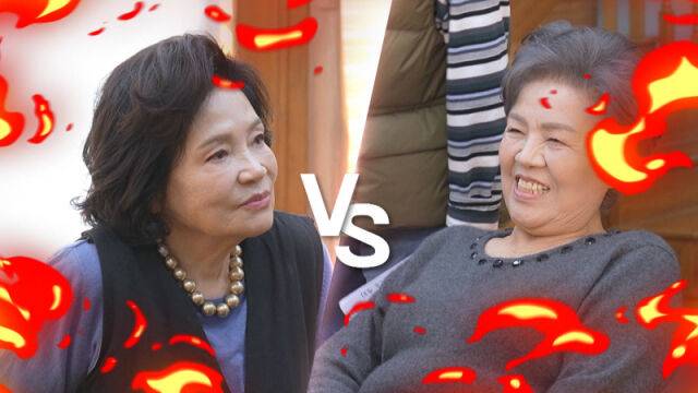 KBS1 '황신혜의 같이 삽시다'