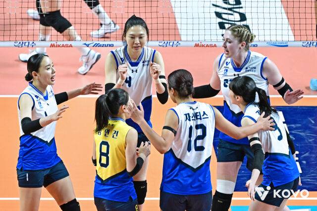 승리한 현대건설./KOVO