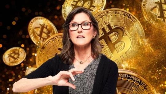 캐시 우드 아크 인베스트먼트 최고경영자(CEO).  [CNBC]