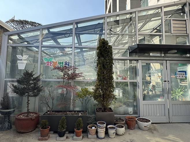 대전에 2013년 최초로 생긴 '화분병원' [촬영 강수환]