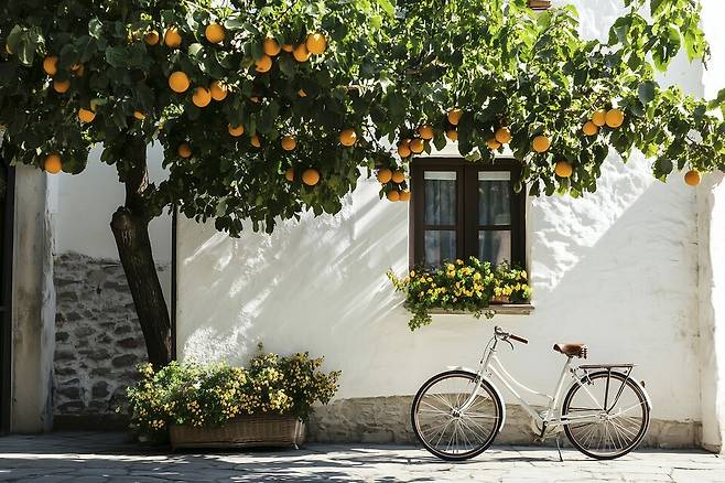 프랑스에서 "농촌 지역에서 자주 이용되지 않는 소규모 도로를 활용해 자전거 네트워크를 구축하자"는 의견이 제기됐다. 사진은 독자 이해를 돕기 위한 이미지. (사진 클립아트코리아)/뉴스펭귄