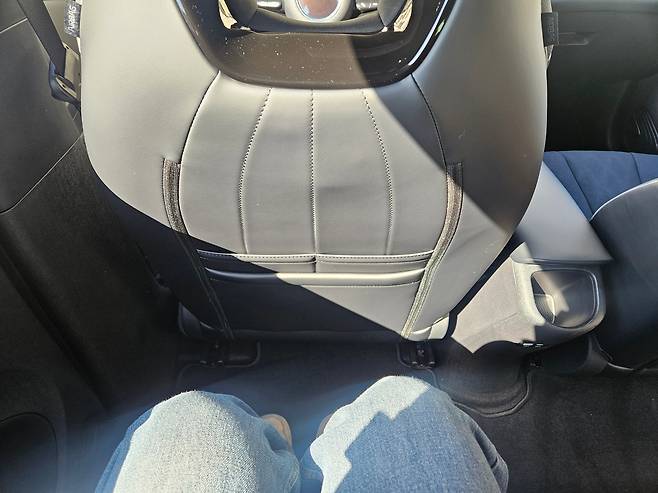 BYD 돌핀의 2열. /김지환 기자