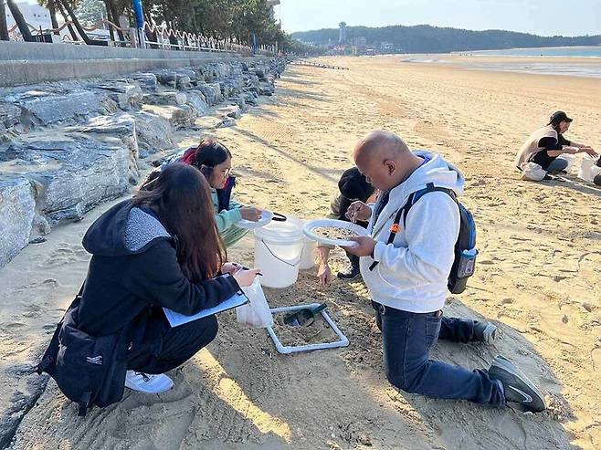 외국인 관광객들이 충남 만리포 해변에서 미세 플라스틱을 찾고 있다. 어드벤처코리아 누리집 갈무리