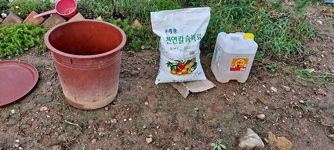 천연 칼슘 비료를 만들기 위해 굴껍질 성분의 재료와 현미식초 등을 준비했다.
