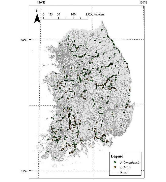 장이권 이화여대 에코과학부 교수와 김기윤 충북대 수의과대학 교수 등이 최근 국제 학술지 '동물 세포와 시스템(Animal Cells and Systems)'에 발표한 국내 멸종위기종 삵과 수달의 로드킬 발생 위치. 노란색이 수달이다. [해당 논문]