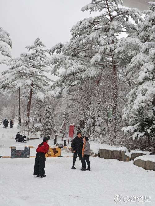메마른 동해안 지역에 10cm 안팎의 많은 눈이 내린 지난 16일 강릉시 성산면 옛영동고속도로 주변에 설경이 펼쳐져 귀성객들이 추억을 남기고 있다. 대설특보가 발효된 동해안과 산지에 시간당 1~3㎝, 최대 10㎝의 눈이 내려 대부분 지역에 내려진 건조특보가 53일만에 해제됐다 강릉=권태명기자