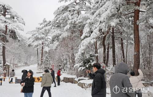 메마른 동해안 지역에 10cm 안팎의 많은 눈이 내린 지난 16일 강릉시 성산면 옛영동고속도로 주변에 설경이 펼쳐져 귀성객들이 추억을 남기고 있다. 대설특보가 발효된 동해안과 산지에 시간당 1~3㎝, 최대 10㎝의 눈이 내려 대부분 지역에 내려진 건조특보가 53일만에 해제됐다 강릉=권태명기자