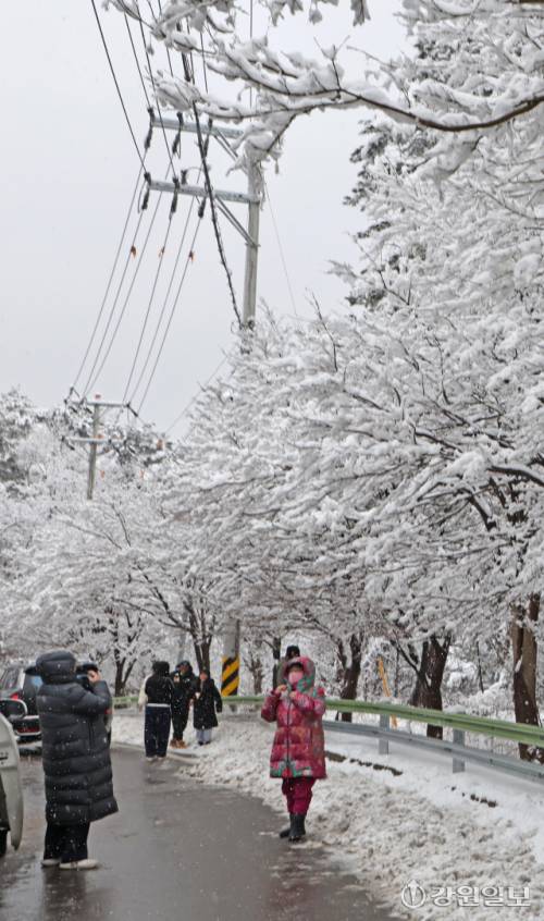 메마른 동해안 지역에 10cm 안팎의 많은 눈이 내린 지난 16일 강릉시 성산면 옛영동고속도로 주변에 설경이 펼쳐져 귀성객들이 추억을 남기고 있다. 대설특보가 발효된 동해안과 산지에 시간당 1~3㎝, 최대 10㎝의 눈이 내려 대부분 지역에 내려진 건조특보가 53일만에 해제됐다 강릉=권태명기자