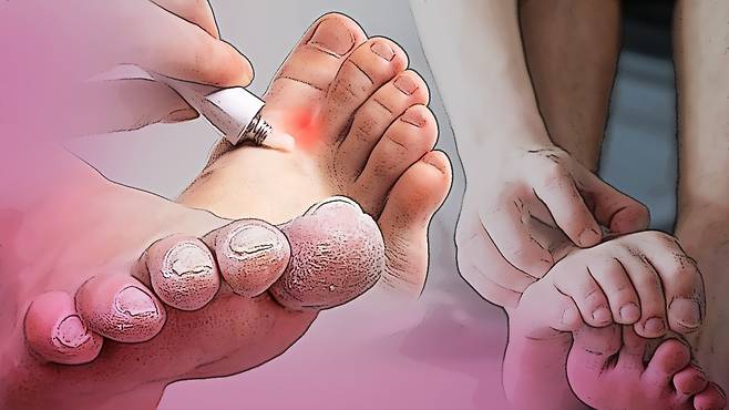 그래픽 by 주혜성 기자.