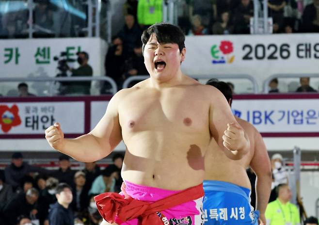 18일 충청남도 태안군 태안종합실내체육관에서 열린 '위더스제약 2026 태안설날장사씨름대회' 백두장사(140kg이하)에 등극한 김민재(영암군민속씨름단)가 우승 후 기쁨을 표하고 있다. /사진=대한씨름협회 제공