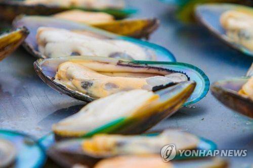 초록입 홍합 [연합뉴스 자료 사진]
