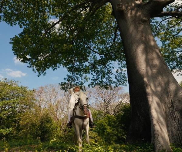 영화 <나무의 노래> 한 장면. /갈무리