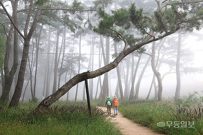 나주 드들강 솔밭유원지