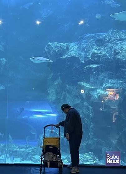 아둘과 함께 아쿠아리움 나들이 모습. ⓒ강백수