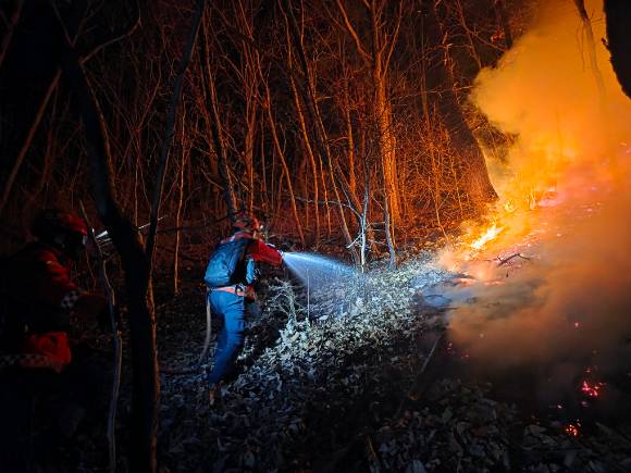 소방대원들이 충남 금산 진산면에서 발생한 산불을 진화하고 있다. [사진=연합뉴스]