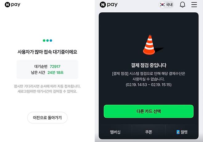 네이버페이 오류 페이지. (네이버페이 앱 화면 캡처)