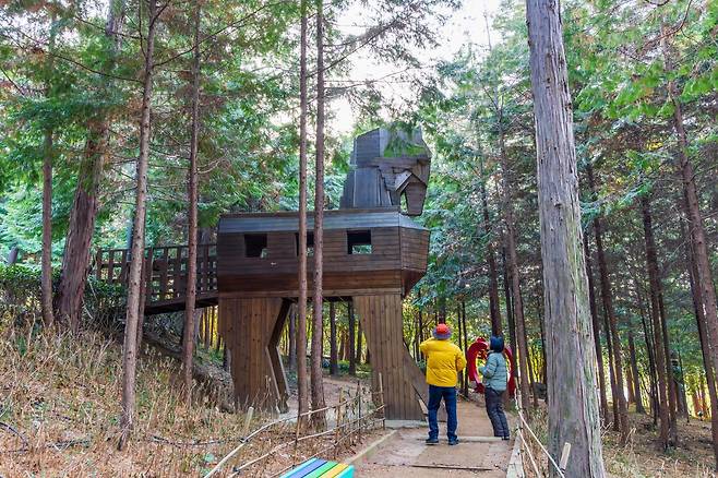 전남 장흥이 웰니스 여행지로서의 존재감을 키우고 있다. 수령 60년 이상된 편백나무가 장관을 이루는 정남진 편백숲 우드랜드. 사진제공 | 지엔씨21