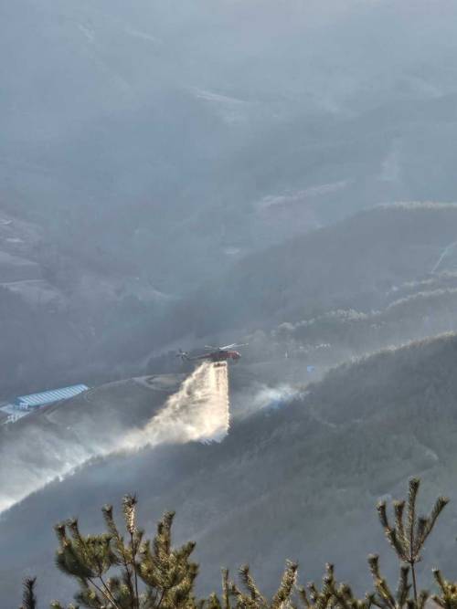 ◇지난달 30일 오후 1시36분께 삼척시 도계읍 점리의 한 야산에서 화재가 났다. 사진=강원특별자치도소방본부 제공