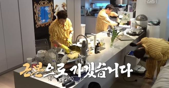 '나혼자산다'(나혼산)