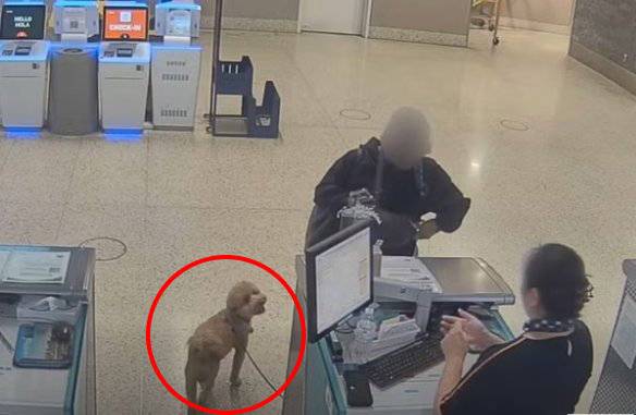 라스베이거스 광역 경찰국(LVMPD) 공식 인스타그램