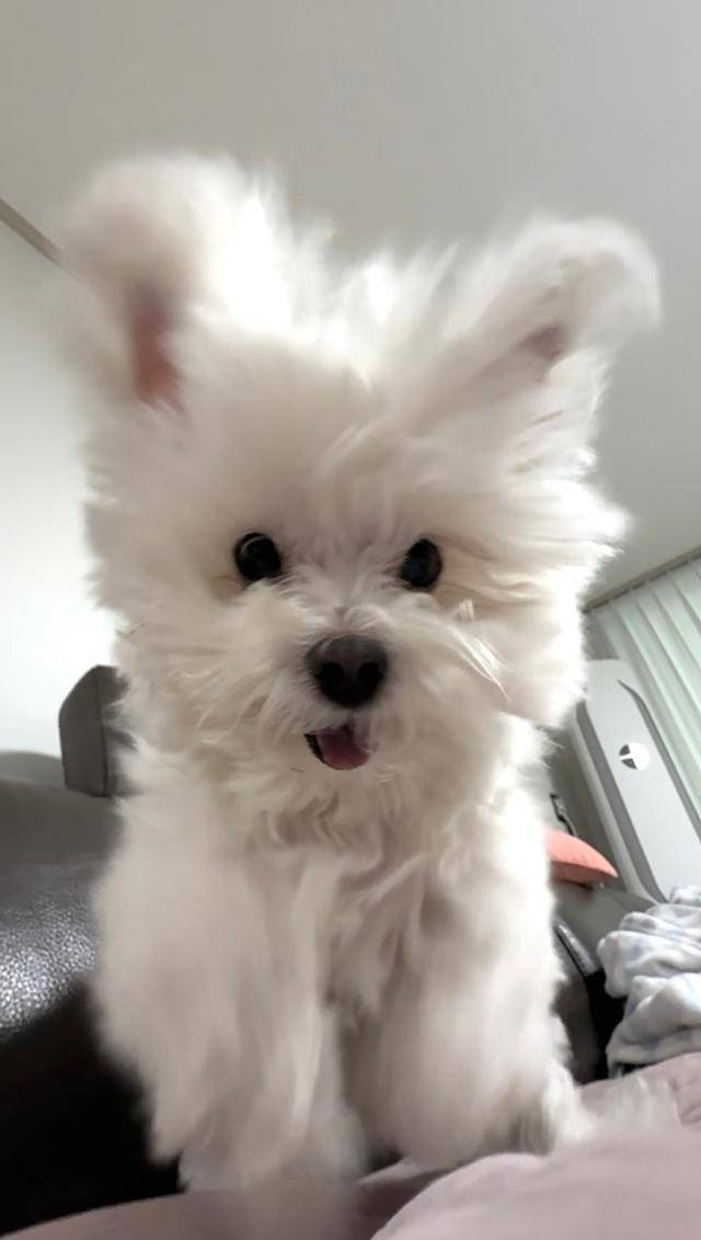 오늘 굴착기 작동 완료!