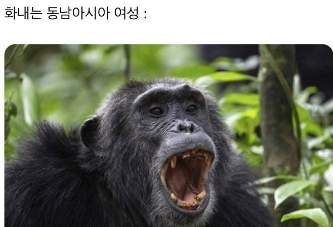 X캡처