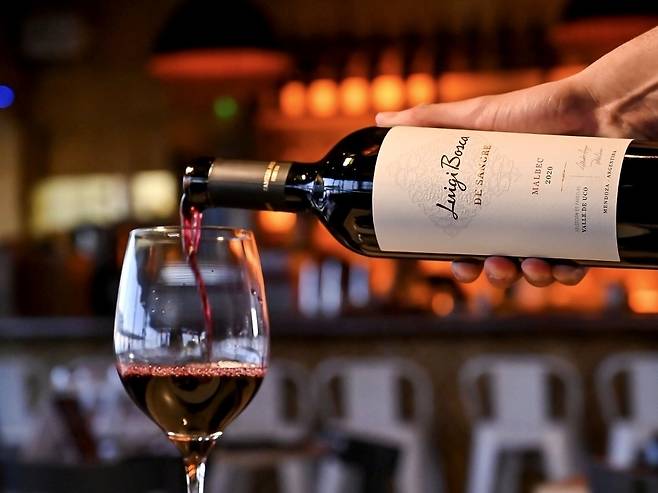 루이지 보스카 데 상그레 말벡. 인스타그램