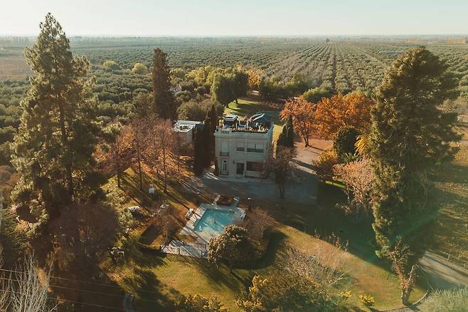 루이지 보스카 전경. 홈페이지