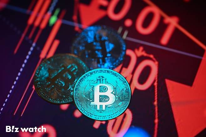 비트코인 주화/사진=이명근 기자 qwe123@