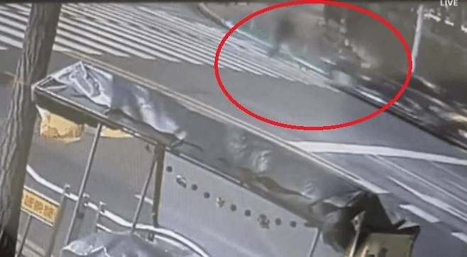 사진=채널A 보도화면 캡쳐