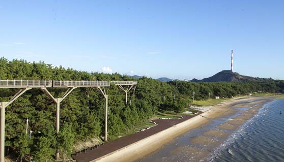 충남 서천군 주요 관광자원인 장항읍 스카이워크. 멀리 장항제련소 굴뚝이 보인다. 연합뉴스