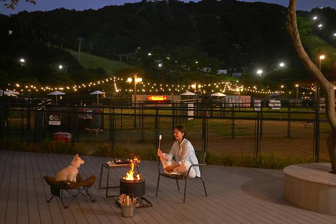 숙박업계와 항공업계도 펫 트래블 수요에 맞춰 서비스를 확대하고 있다. 소노캄 제주는 반려동물 동반이 가능한 ‘펫 프렌들리’ 객실, 전용 어메니티와 펫 플레이 그라운드를 운영 중이다. 항공업계 역시 반려동물 동반 탑승 실적에 따라 포인트를 적립하고, 기내 반입 허용 무게를 9㎏까지 확대하는 등 서비스를 세분화하는 분위기다. 소노인터내셔널 제공