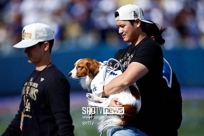 ▲ 오타니 쇼헤이의 반려견으로 세계적인 인지도를 얻어가고 있는 디코이