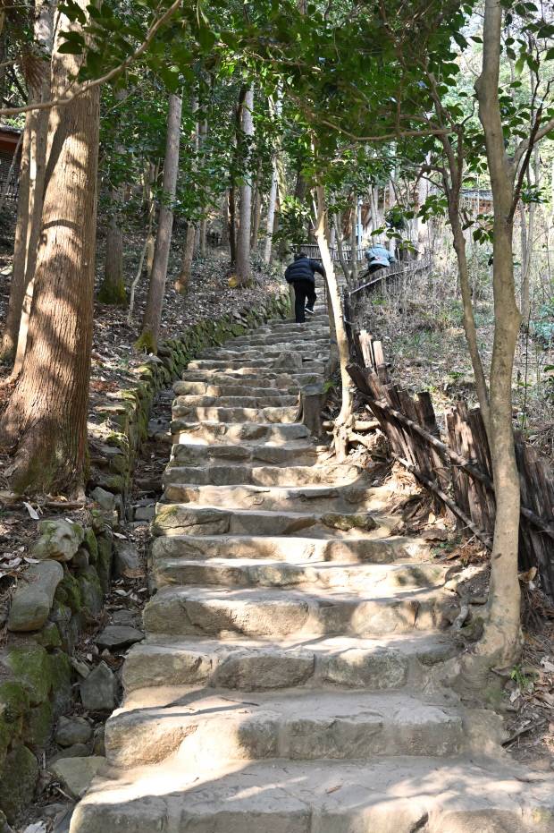 다산초당 가는 길. ‘뿌리의 길’로 불렸던 곳이 최근 계단 형태로 정비됐다.