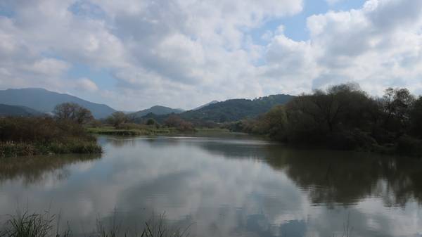 국내 최대의 하천형 습지인 화포천. /김석환