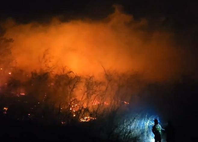 22일 오후 7시 22분쯤 강원 고성군 토성면에서 산불이 발생해 주민 대피 조치가 이뤄진 가운데 소방 당국이 대응 2단계 발령하고 인력과 장비를 동원해 진화 작업을 벌이고 있다. 강원도소방본부 제공
