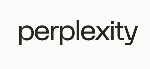 퍼플렉시티 AI 첫 화면의 회사 로고