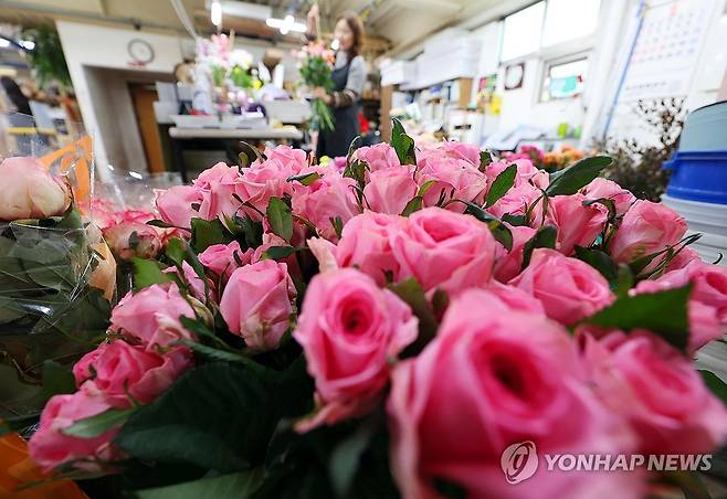 '기다려 봄' (대구=연합뉴스) 김현태 기자 = 겨울 끝자락에서 본격적인 봄으로 들어가는 절기상 '우수(雨水)'인 19일 대구 북구 대구 꽃 백화점에서 다양한 꽃들이 눈길을 끌고 있다. 2026.2.19 mtkht@yna.co.kr