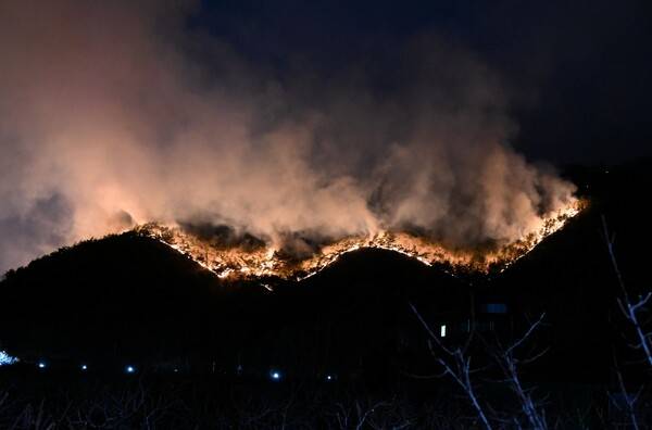 23일 오후 4시 10분 밀양시 삼랑진읍 검세리 산 31번지에 산불이 발생했다. 이날 오후 8시 40분 산이 붉게 불타고 있다. /김구연 기자
