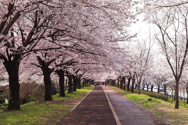 서울의 여의도 (사진=호텔스닷컴)